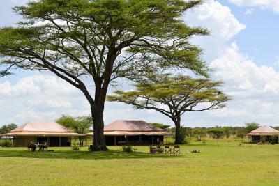 Luksus teltlejr i Serengeti, Tanzania