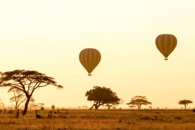 Der er mulighed for at flyve i luftballon over Serengeti sletten