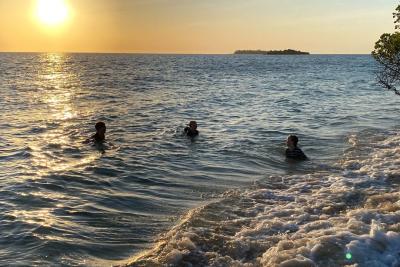 Det er lækkert at bade i det varme Indiske Ocean