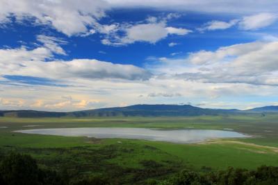 Udsigten fra toppen af Ngorongoro krateret over søen og skove